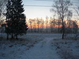 окресности